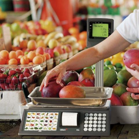 Balanza comercial económica Gram M4